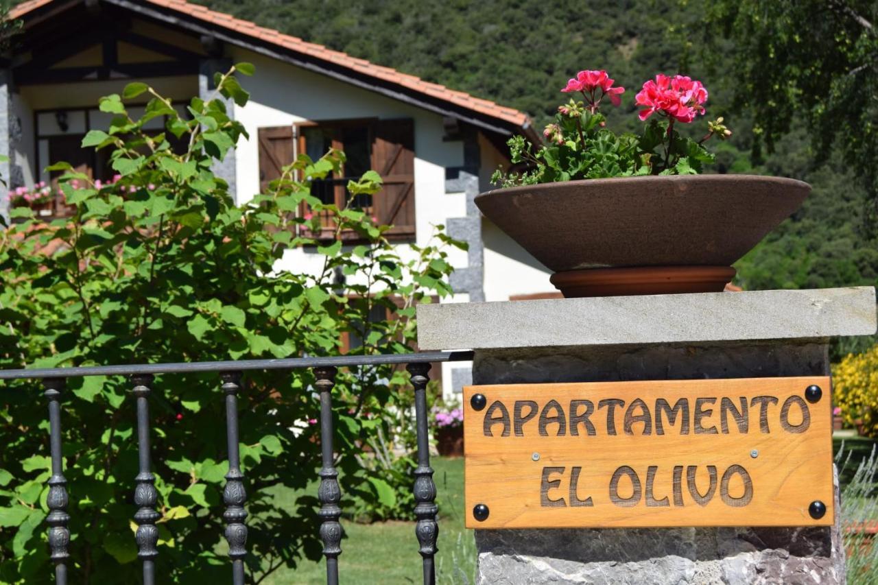 Excepcional Apartamento El Olivo Ojedo Ngoại thất bức ảnh